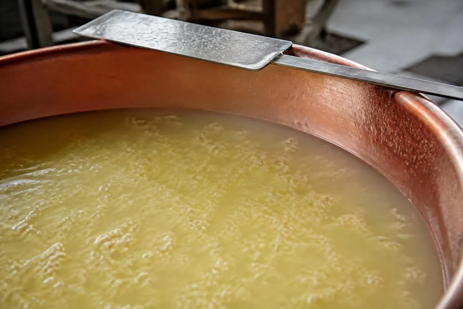 Grains de caillé jaune pâle en suspension dans le lactosérum d’une cuve de cuivre, une pelle plate posée en travers.